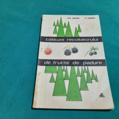 CĂLĂUZA RECOLTATORULUI DE FRUCTE DE PĂDURE/ GH. ADAM, P. IORGA/ 1968