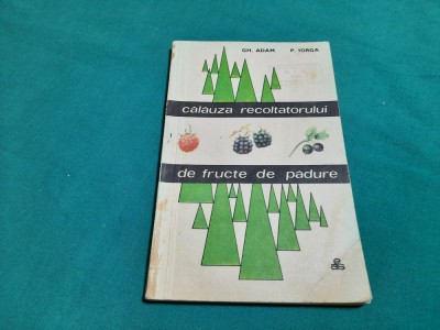 CĂLĂUZA RECOLTATORULUI DE FRUCTE DE PĂDURE/ GH. ADAM, P. IORGA/ 1968 *24 foto