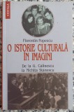 O istorie culturala in imagini - Florentin Popescu