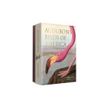 Audubon's Birds of America: An Abbeville Notecard Set