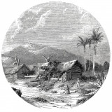 Tapet &icirc;n formă de cerc &bdquo;Landscape of Guadeloupe&rdquo;, 190 cm