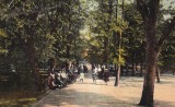 Buziasiurdo. Harsfa setany (circulata 1912)