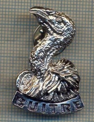 Y 122 INSIGNA - BUITRE- VULTUR - PENTRU COLECTIONARI foto
