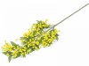 Crenguta Mimoza artificiala 73 cm