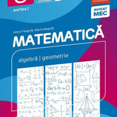 Matematică. Algebră, geometrie. Clasa a VIII-a. Consolidare. Partea I - Paperback brosat - Anton Negrilă, Maria Negrilă - Paralela 45 educațional