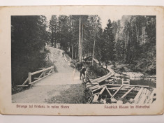 STRUNGA LUI FRIDERIC IN VALEA BISTRA (VALEA SEBESULUI)- JUD ALBA - INCEPUT 1900 foto