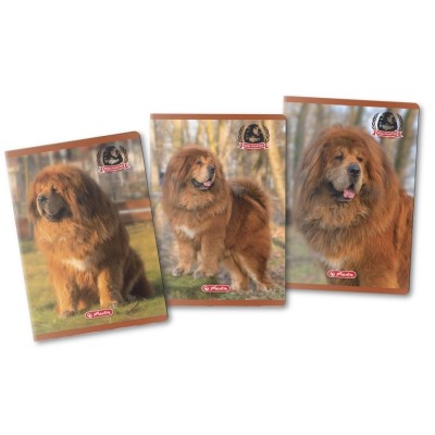 CAIET A4 80F DICTANDO MOTIV BOSS PHANTOM foto