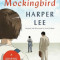 To Kill a Mockingbird (Graphic Novel)