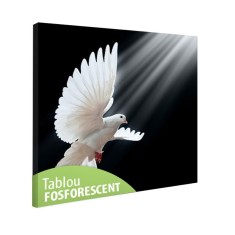 Tablou fosforescent Porumbel alb - 40 cm x 40 cm