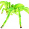 Paianjen verde Micrommata