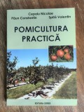 Pomicultura practica - Nicolae Cepoiu / R3P1F