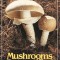 Mushrooms Demystified