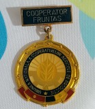 Insigna Cooperator fruntas stare excelenta