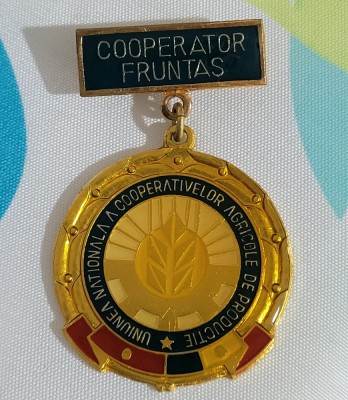 Insigna Cooperator fruntas stare excelenta foto