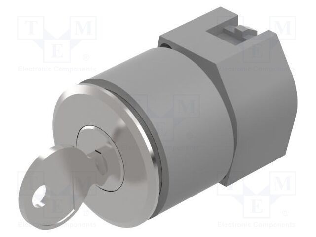 Comutator rotativ cu cheie 30mm 2 poziții argintiu EAO
