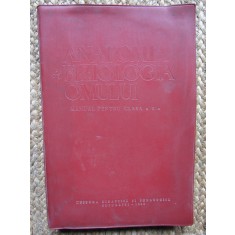 N. Santa, E. Sanielevici - Anatomia si fiziologia omului. Manual clasa a X-a