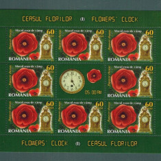 Romania 2013 Ceasul florilor MNH 8 timbre*0,6 lei Macul rosu de camp LP 1966 c