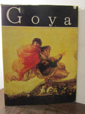 Goya - Vasile Florea foto