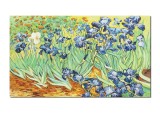 Cumpara ieftin Tablou pictat manual, Irisi la Saint-Remy, 120x70cm ulei pe panza, reproducere Vincent van Gogh