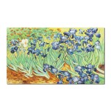 Tablou pictat manual, Irisi la Saint-Remy, 120x70cm ulei pe panza, reproducere Vincent van Gogh