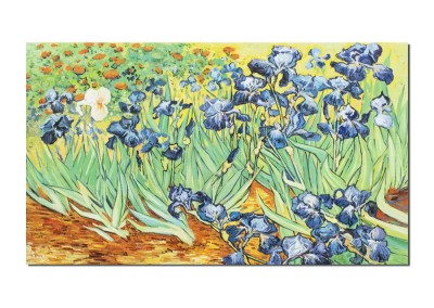 Tablou pictat manual, Irisi la Saint-Remy, 120x70cm ulei pe panza, reproducere Vincent van Gogh foto