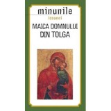 Minunile icoanei Maica Domnului din Tolga