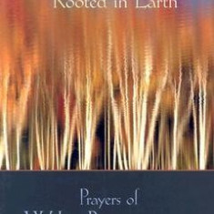 Awed to Heaven, Rooted in Earth: The Prayers of Walter Brueggemann