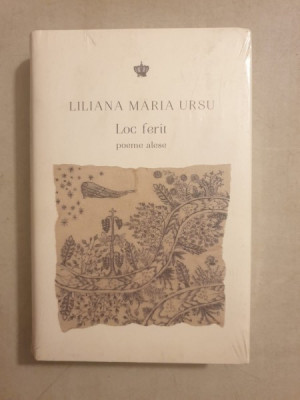 Liliana Maria Ursu - Loc ferit foto