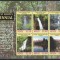 Nevis 2006-A 100-a aniversare a Serviciului Forestier al Statelor Unite,Bloc,MNH