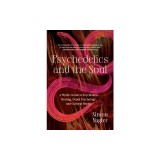 Psychedelics and the Soul: A Mythic Guide to Psychedelic Healing, Depth Psychology, and Cultural Repair