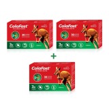 Pachet Colafast Colagen Rapid, 3 cutii*30 capsule, Good Days Therapy