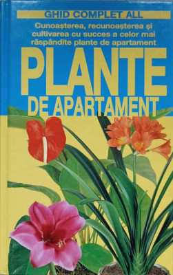 PLANTE DE APARTAMENT-MARIA TERESA DELLA BEFFA foto