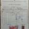 Certificat de origine a marfii, destinatia Bucuresti, Trieste, Italia 1942