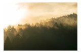 Tablou Canvas pe temă de natură și atmosferă, 39 x 26 cm, CMCLASS