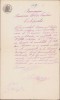 HST 246S Certificat cetățenie rom&acirc;nă 1879 semnat olograf primar Vaslui Lupașcu