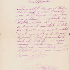 HST 246S Certificat cetățenie română 1879 semnat olograf primar Vaslui Lupașcu