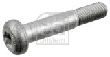 FEBI BILSTEIN 45878 Surub clema, articulatie sarcina/ghidare