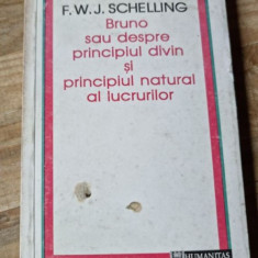 BRUNO SAU DESPRE PRINCIPIUL DIVIN SI PRINCIPIUL NATURAL AL LUCRURILOR - F.W.J. SCHELLING