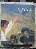 Francisco Goya - Janis Tomlinson