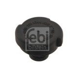 Febi Bilstein buson, vas expansiune
