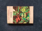 Cumpara ieftin SYLVI KEKKONEN - AMALIA