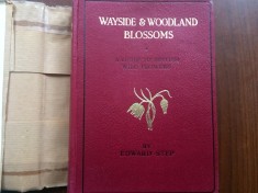 Wayside and Woodland Blossoms A Guide to British Wild Flowers Edward Step 1941 carte biologie flori plante