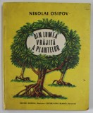 DIN LUMEA VRAJITA A PLANTELOR ( POVESTIRI ADEVARATE )de NIKOLAI OSIPOV , ILUSTRATII DE VICTOR KIRILLOV , Bucuresti 1988 * PREZINTA URME DE UZURA