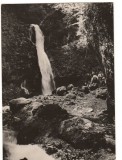 CPI B 10958 CARTE POSTALA - POIANA TAPULUI. CASCADA &quot;URLATOAREA&quot;, RPR, Circulata, Fotografie