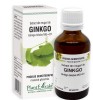 EXTRACT DIN MUGURI DE GINKGO BILOBA 50ML, Plantextrakt