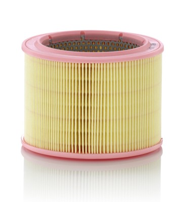 MANN-FILTER C 1760/1 Filtru aer foto