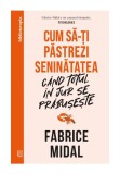 Cumpara ieftin Cum sa-ti pastrezi seninatatea cand totul in jur se prabuseste, Curtea Veche