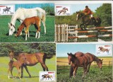 bnk cp Fauna - cai - lot 20 carti postale *