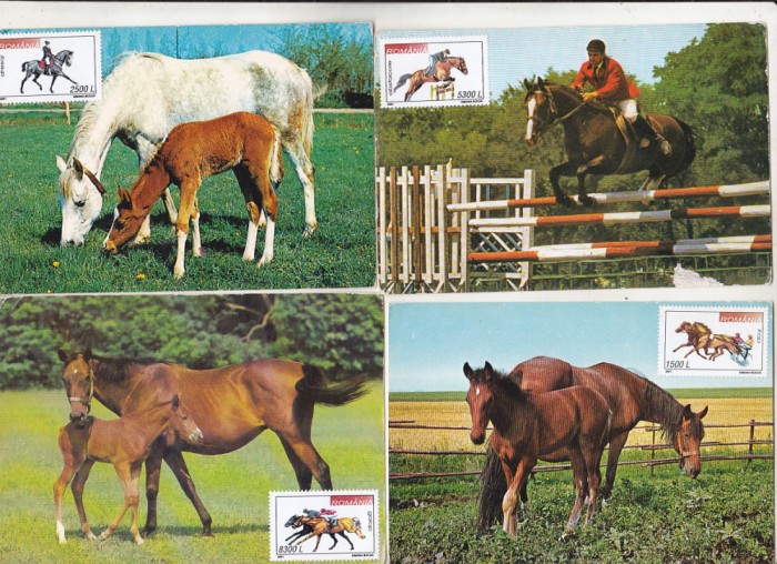 bnk cp Fauna - cai - lot 20 carti postale *