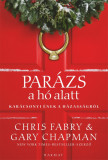 Par&aacute;zs a h&oacute; alatt - Kar&aacute;csonyi &eacute;nek a h&aacute;zass&aacute;gr&oacute;l - Gary Chapman